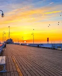 Bodrum Havalimani Yaliköy Transfer şirketi rezervasyon için direk arayınız +905323996948 Bodrum Havalimani Yaliköy Transfer firması