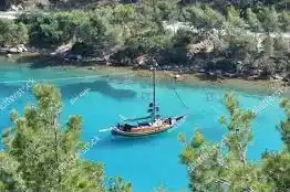 Bodrum Havalimanı Torba Transfer şirketi rezervasyon için direk arayınız +905323996948 Bodrum Havalimanı Torba Transfer firması