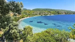 Bodrum Havalimanı Mazı Transfer şirketi rezervasyon için direk arayınız +905323996948 Bodrum Havalimanı Mazı Transfer firması