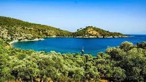 Bodrum Havalimanı Kızılağaç Transfer şirketi rezervasyon için direk arayınız +905323996948 Bodrum Havalimanı Kızılağaç Transfer firması