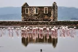 Bodrum Havalimanı Boğaziçi Transfer şirketi rezervasyon için direk arayınız +905323996948 Bodrum Havalimanı Boğaziçi Transfer firması