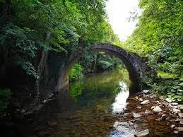 Bodrum Havalimanı Kırklareli transfer hizmeti. Konforlu ve güvenli özel ulaşım araçlarıyla Bodrum’dan Kırklareli vip transfer hizmeti.