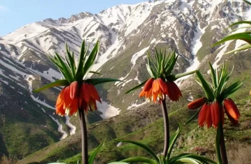 Bodrum Havalimanı Hakkari transfer hizmeti. Konforlu ve güvenli özel ulaşım araçlarıyla Bodrum’dan Hakkari vip transfer hizmeti.