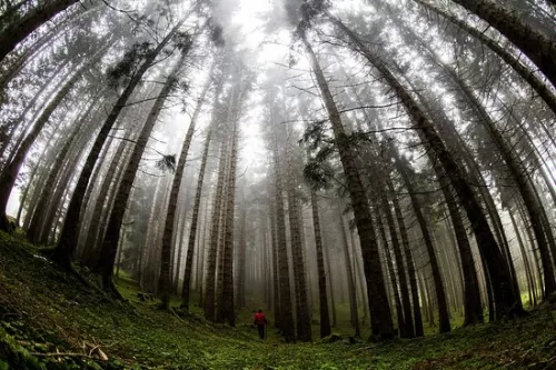 Bodrum Havalimanı Düzce transfer hizmeti. Konforlu ve güvenli özel ulaşım araçlarıyla Bodrum’dan Düzce vip transfer hizmeti.