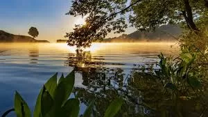 Bodrum Havalimanı Çorum transfer hizmeti. Konforlu ve güvenli özel ulaşım araçlarıyla Bodrum’dan Çorum vip transfer hizmeti.