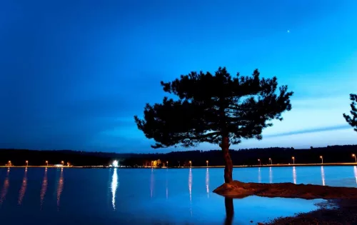 Bodrum Havalimanı Bilecik transfer hizmeti. Konforlu ve güvenli özel ulaşım araçlarıyla Bodrum’dan Bilecik vip transfer hizmeti.