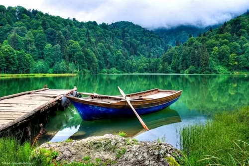 Bodrum Havalimanı Artvin transfer hizmeti. Konforlu ve güvenli özel ulaşım araçlarıyla Bodrum’dan Artvin vip transfer hizmeti.