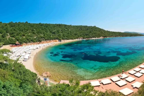 Call Bodrum Airport Yaliköy Transfer company directly for reservation +905323996948 Bodrum Airport Yaliköy Transfer company