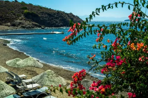 For reservations, please call Bodrum Airport Gümüşlük Transfer Company directly +905323996948 Bodrum Airport Gümüşlük Transfer Company