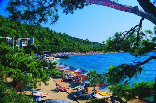 For reservations at Bodrum Airport Yalıçiftlik Transfer company, please call +905323996948 Bodrum Airport Yalıçiftlik company.